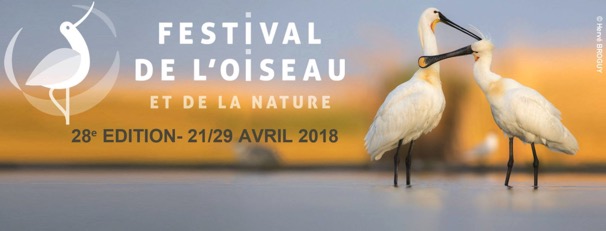 Festival Oiseau 2018